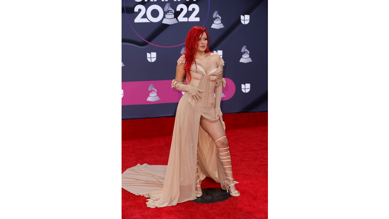 23rd Annual Latin GRAMMY Awards - Arrivals