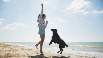 Canova Park Dog Beach Rated one of the Best in U.S!