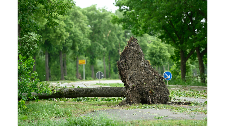 GERMANY-WEATHER-STORM