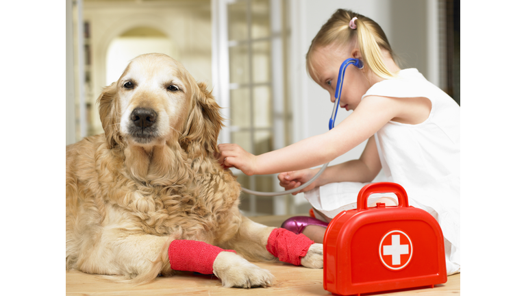 Girl playing doctor with dog