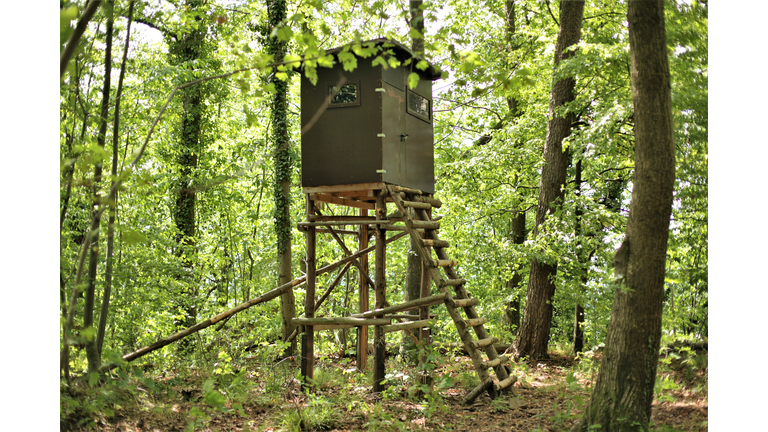 Wooden hunting lodge in the green woods