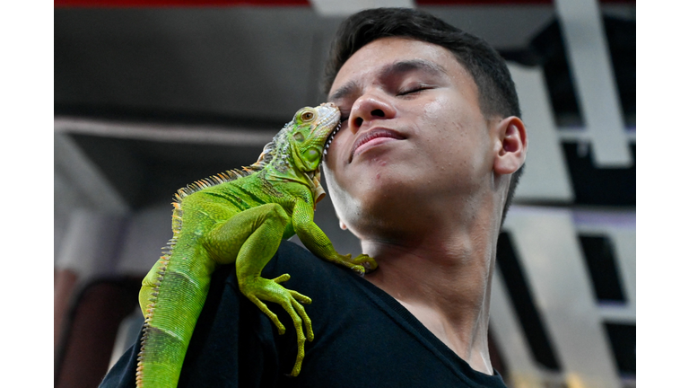 Repticon - The All Things Reptile Expo is in Sarasota 