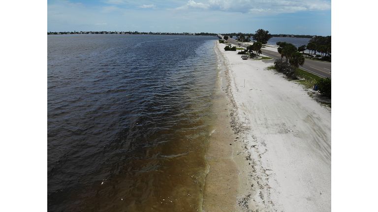 Red Tide Continues All Over on many Manatee and Sarasota County Beaches 
