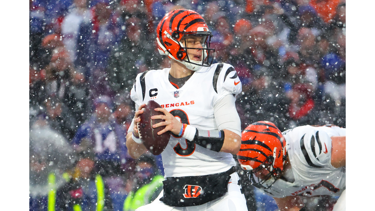 AFC Divisional Playoffs - Cincinnati Bengals v Buffalo Bills