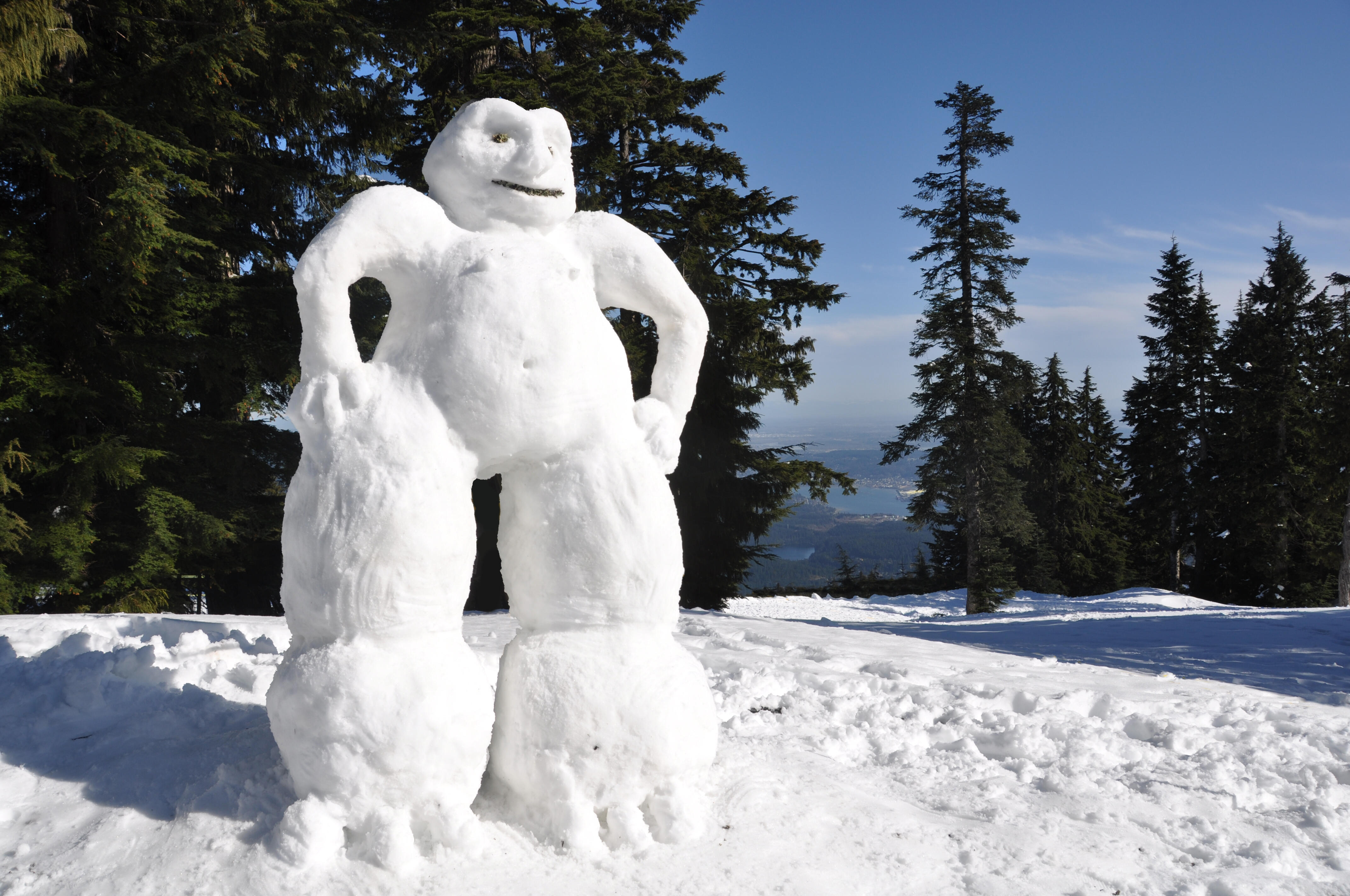 Minnesota Man Builds Impressive 30-Foot-Tall Snowman In His Front 