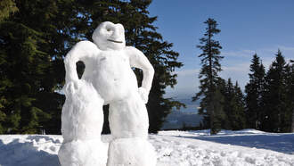 Shock Collar Question (12/23/25)