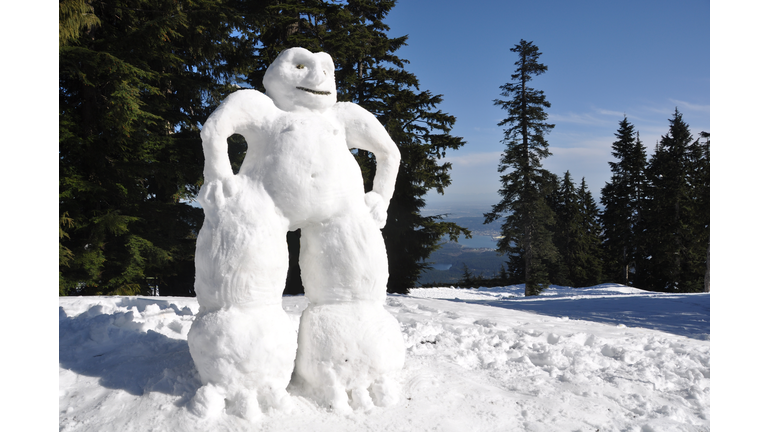 You could make over an 80-foot-tall snowman with all the snow on the Buffalo  Bills' football field