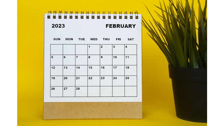 February 2023 desk calendar with table plant on yellow background.