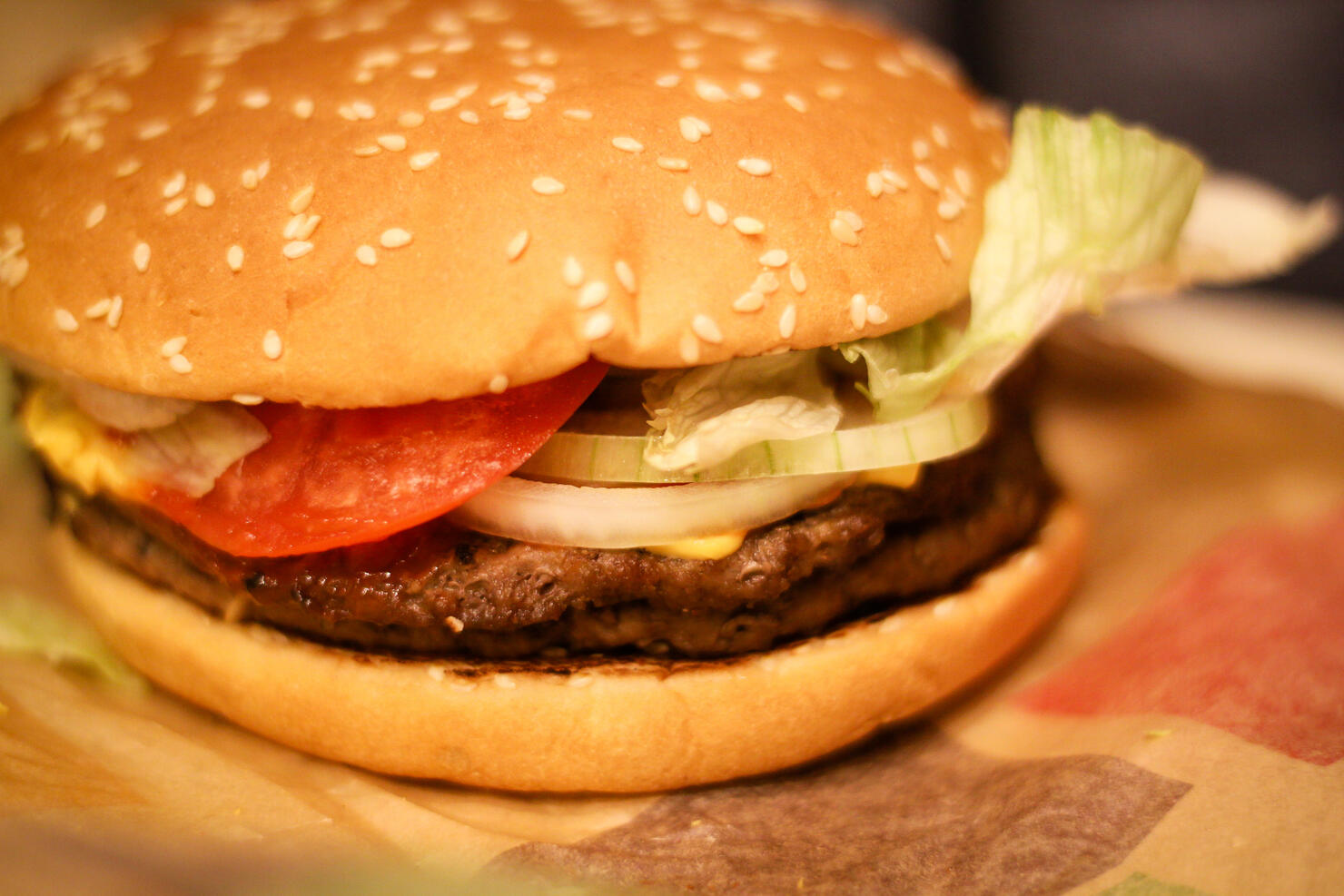 Fast Food Burger Eating