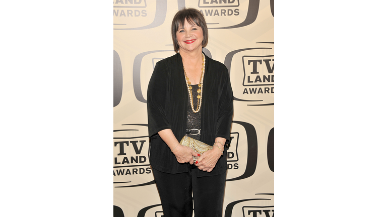 10th Annual TV Land Awards - Arrivals