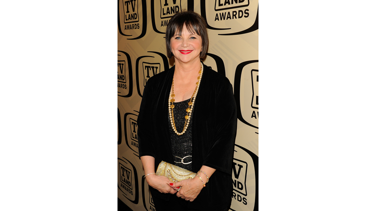 10th Annual TV Land Awards - Red Carpet