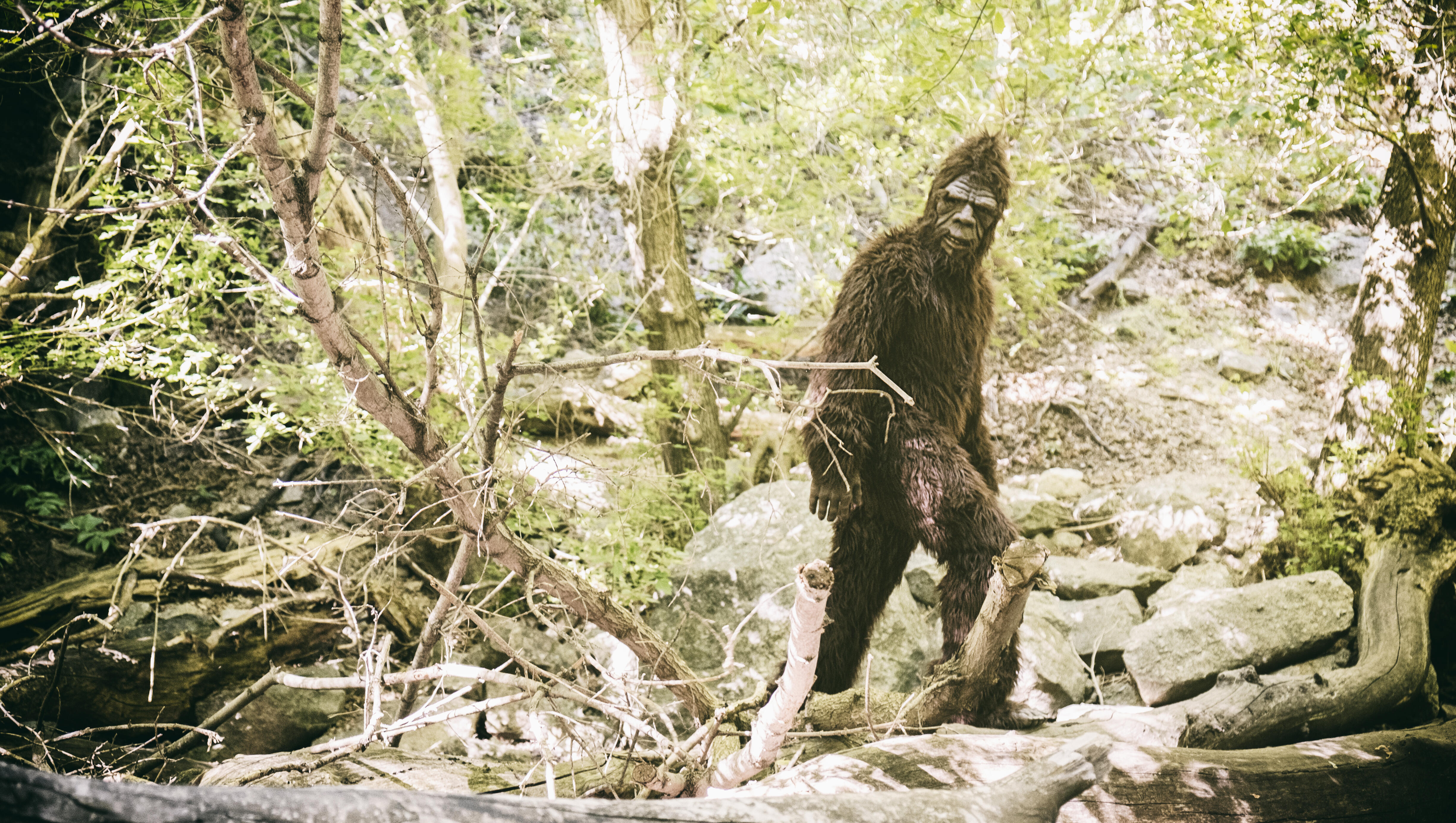 Trail Camera Purportedly Captures 'Bigfoot' Near Creek In Missouri