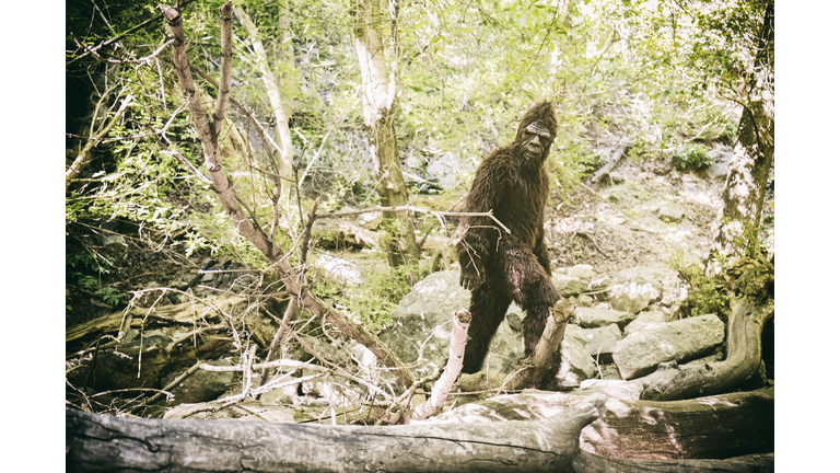 Violent Bigfoot Encounters / Yeshua Codes