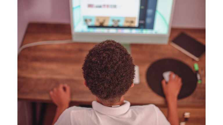 Rear view of young boy using computer at home.