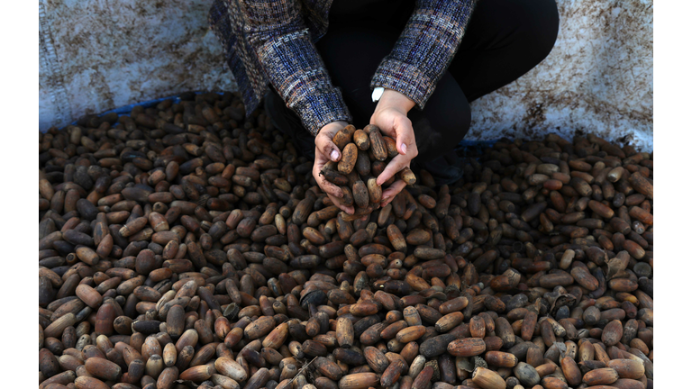 IRAQ-KURDS-ENVIRONMENT-AGRICULTURE-TREES-CLIMATE