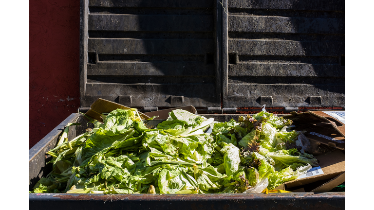 Lettuce in Garbage