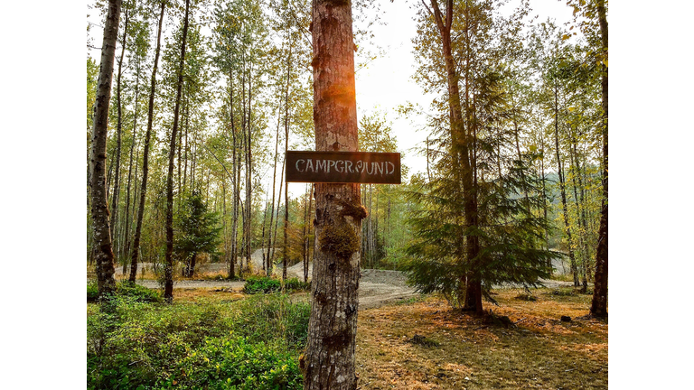 Campground Sign On Tree Trunk In Forest