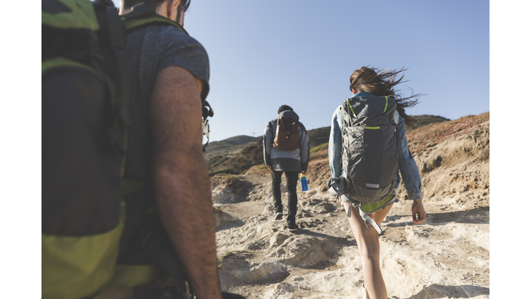 Rear view of young friends hiking at beach on sunny day