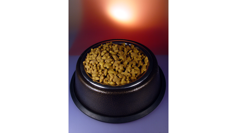 Bowl of Pet Food