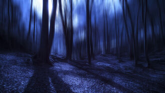 Demonic Forces / Paranormal Scotland