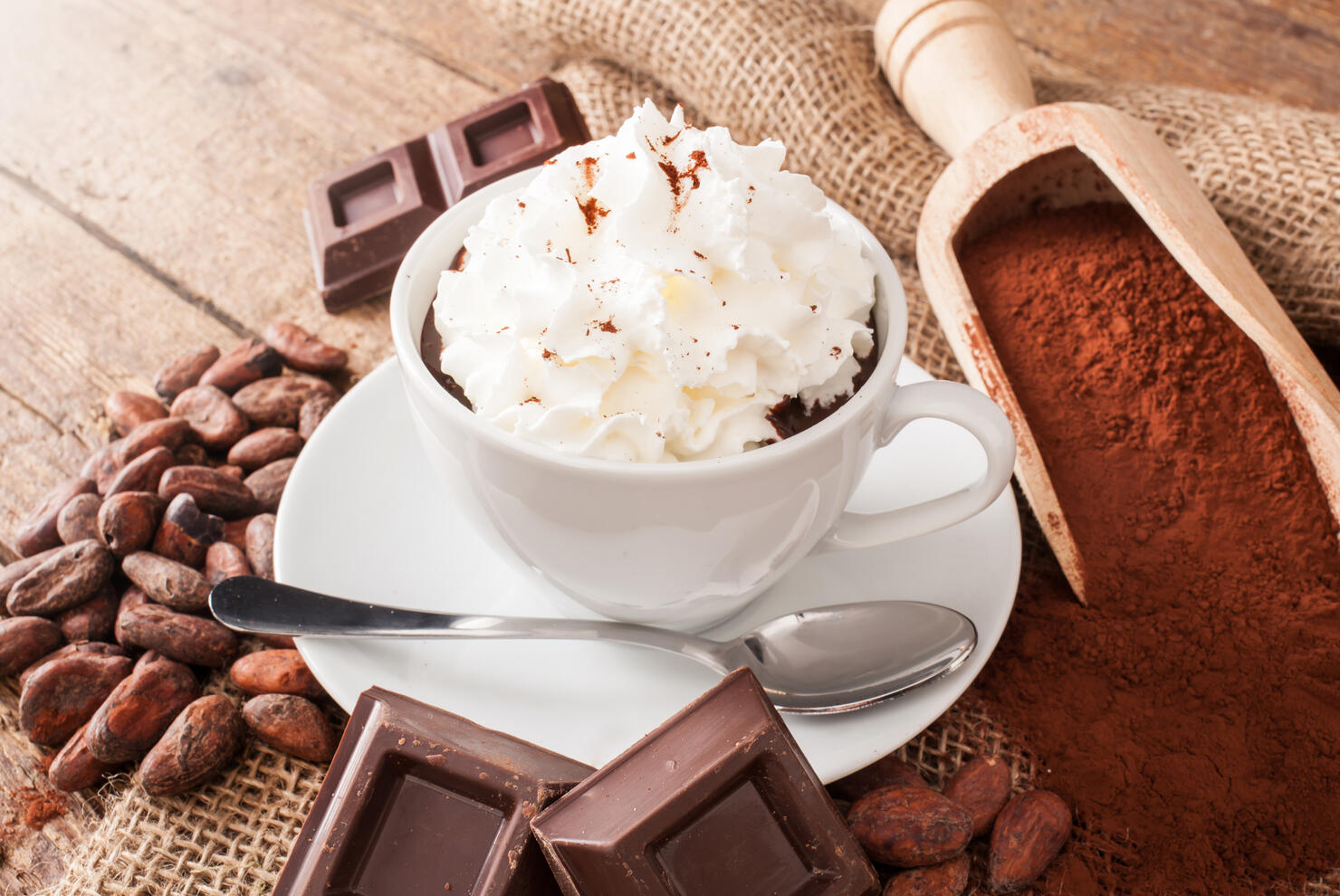 Cup of hot chocolate with whipped cream,Romania
