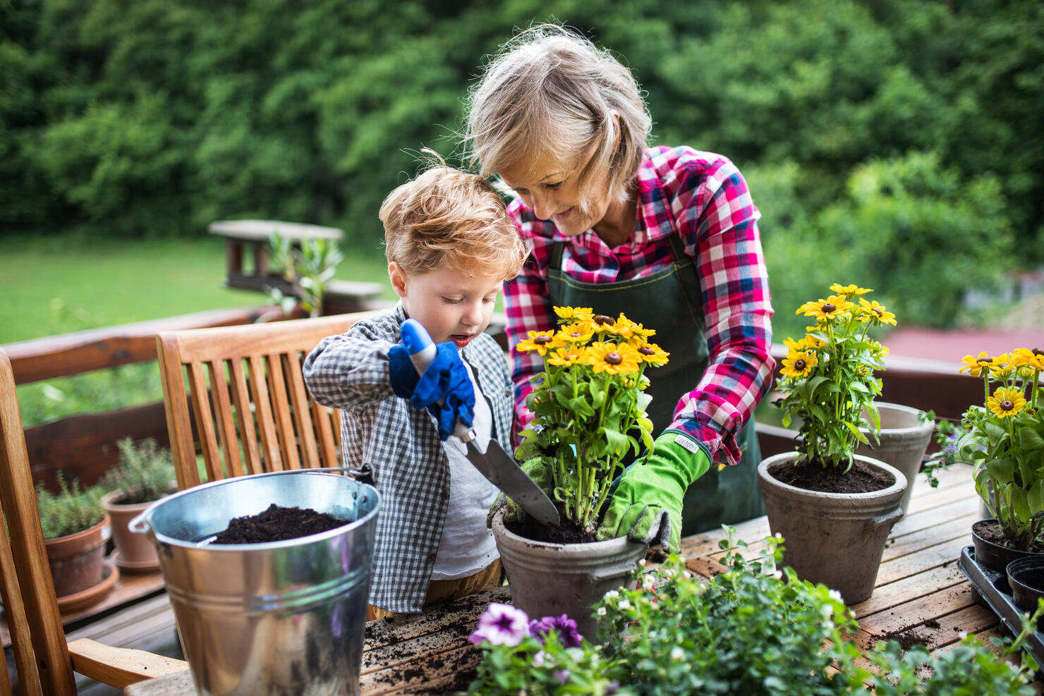 An attractive senior woman with a toddler boy planting flowers outdoors in summer.