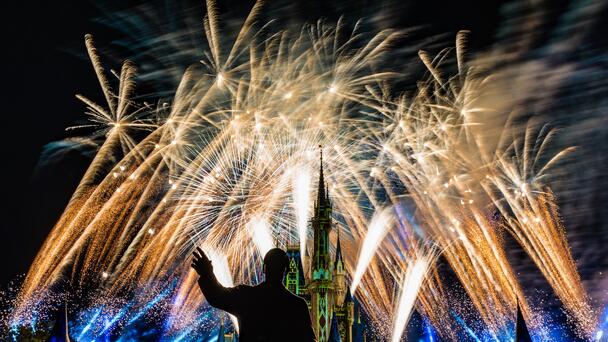 Cremated Remains Scattered at Disney, not "Happily Ever After"