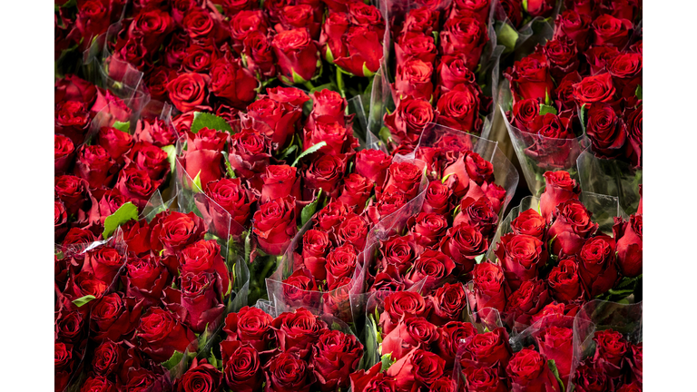 NETHERLANDS-ECONOMY-FLOWERS-VALENTINE