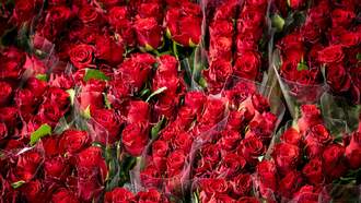 Easy Hacks To Make Your Valentine Flowers Last LONGER