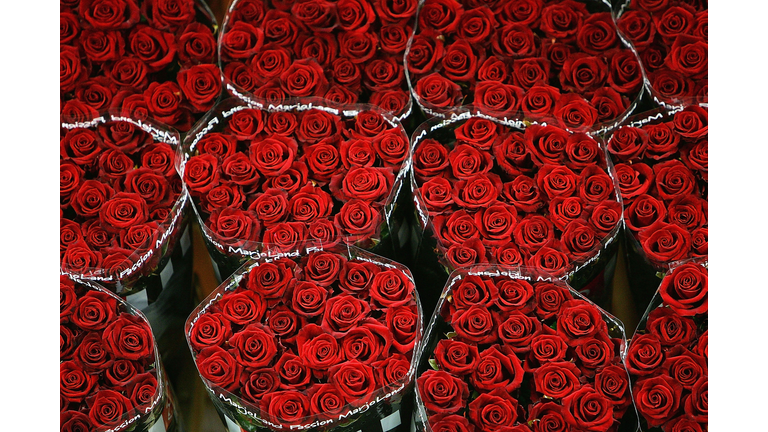 Worlds Largest Flower Auction Prepares For Valentines Day