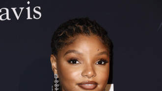 Our First Look At Prince Eric and Ursula In New Little Mermaid Trailer!