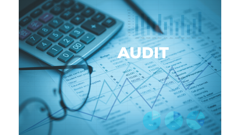 AUDIT CONCEPT