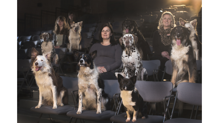 dogs and people at the theatre