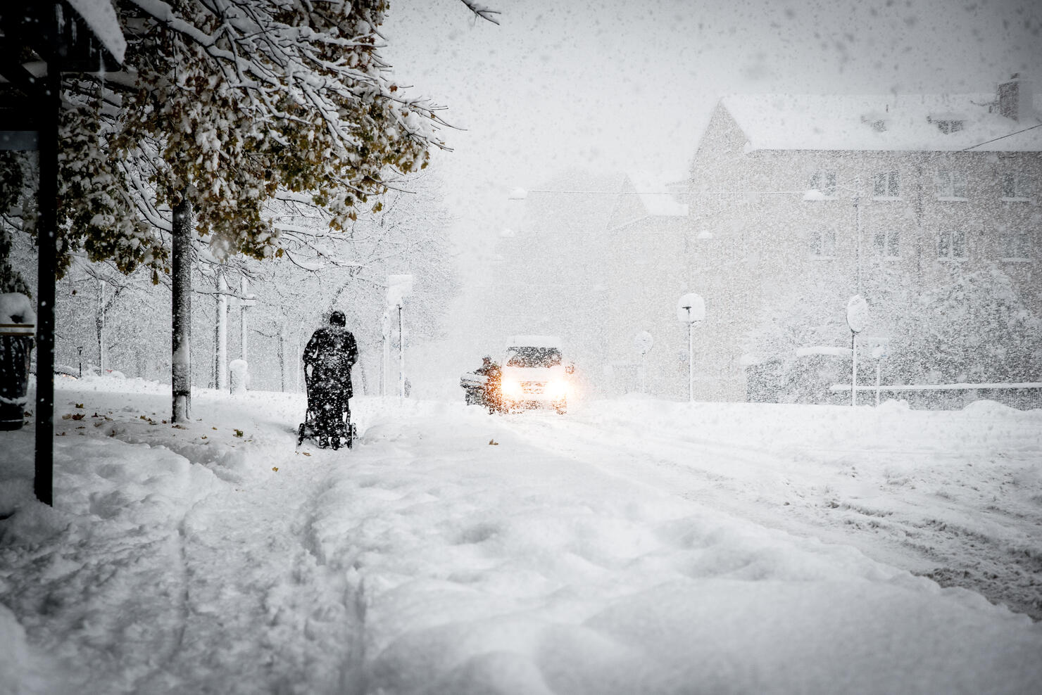 People On Snow Covered Land By Trees In City During Winter
