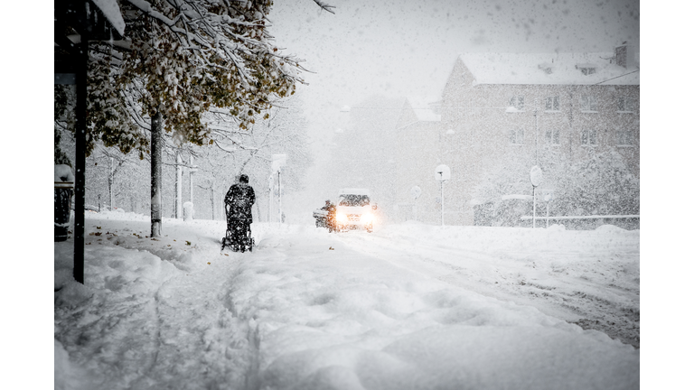 People On Snow Covered Land By Trees In City During Winter