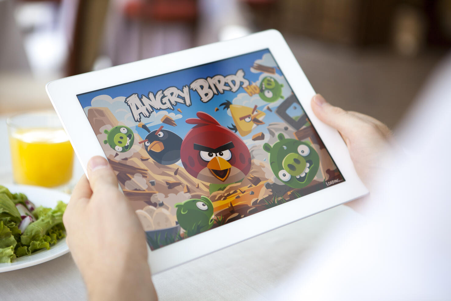 Angry Birds app on iPad
