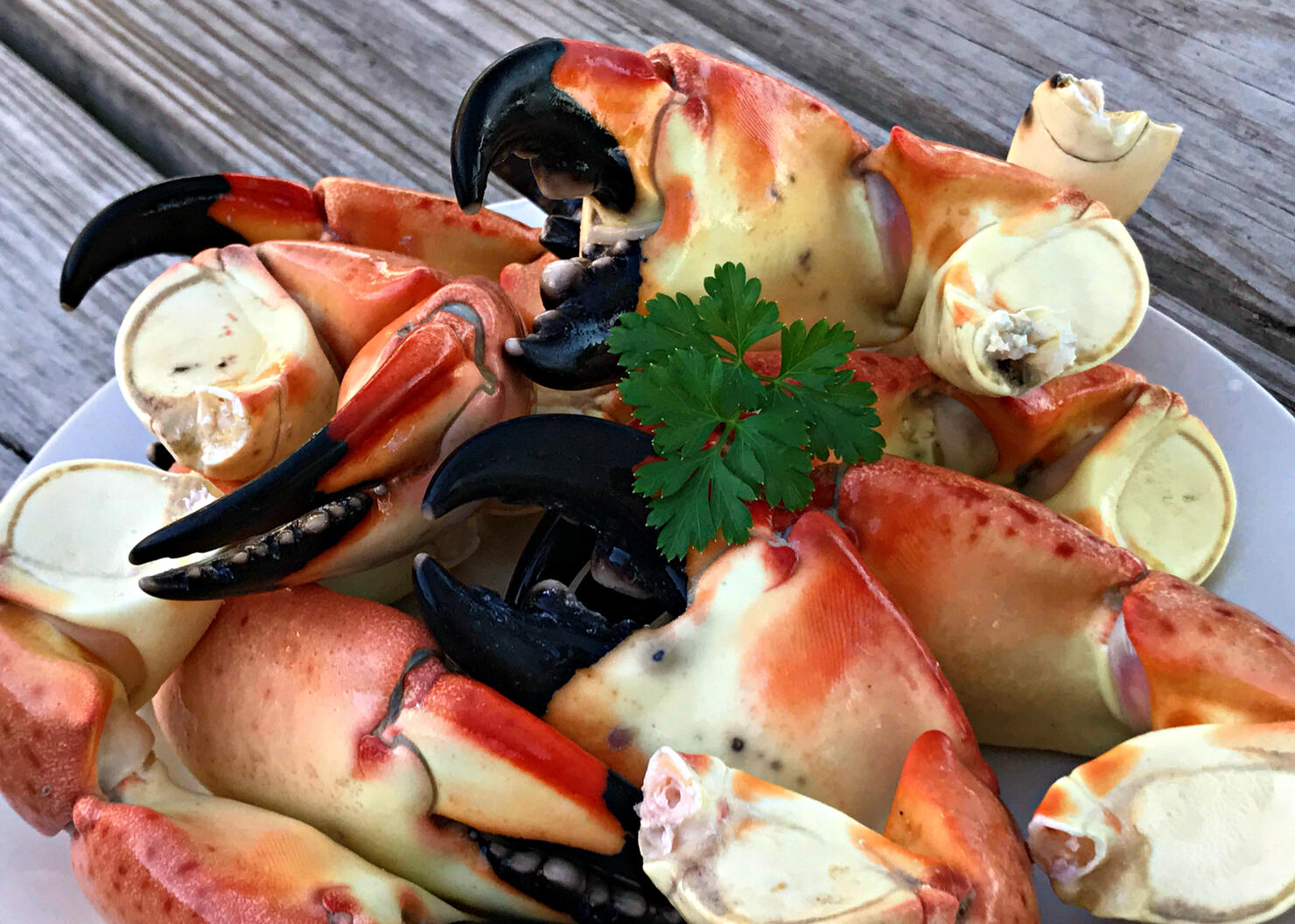 Close-Up Of Served Crab Claws On A Plate