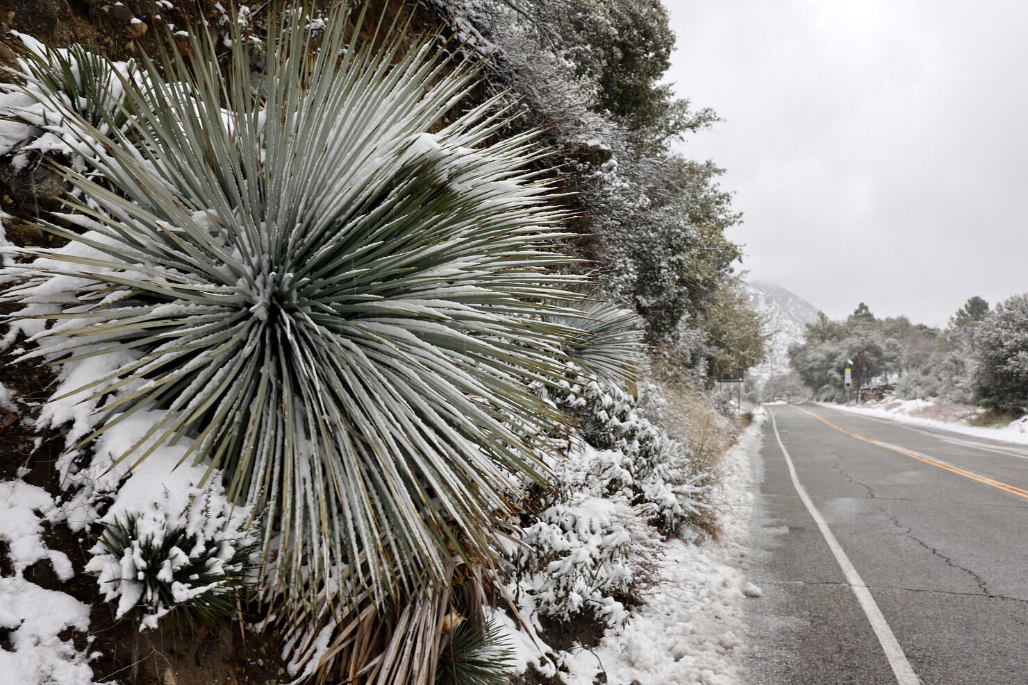 Southern California Awaits Winter Storm Bringing Snow To Lower Elevations Around Los Angeles County