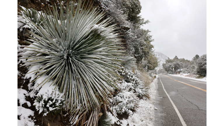 Southern California Awaits Winter Storm Bringing Snow To Lower Elevations Around Los Angeles County