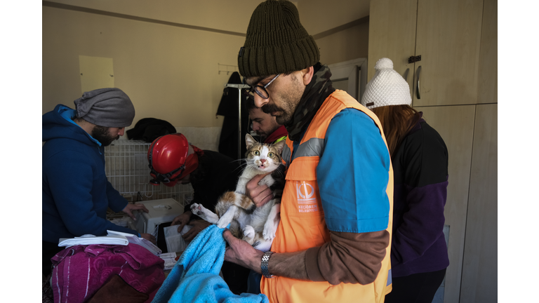 Animal Rescue Teams Retrieve Pets 