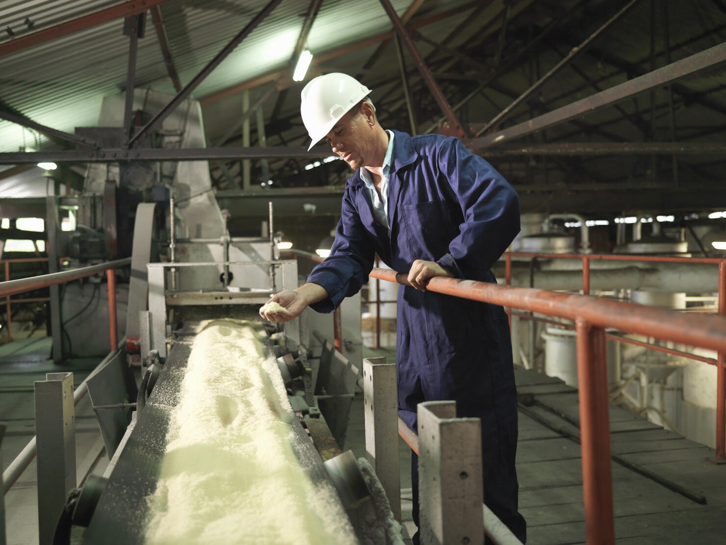 Factory Worker With Processed Sugar Cane