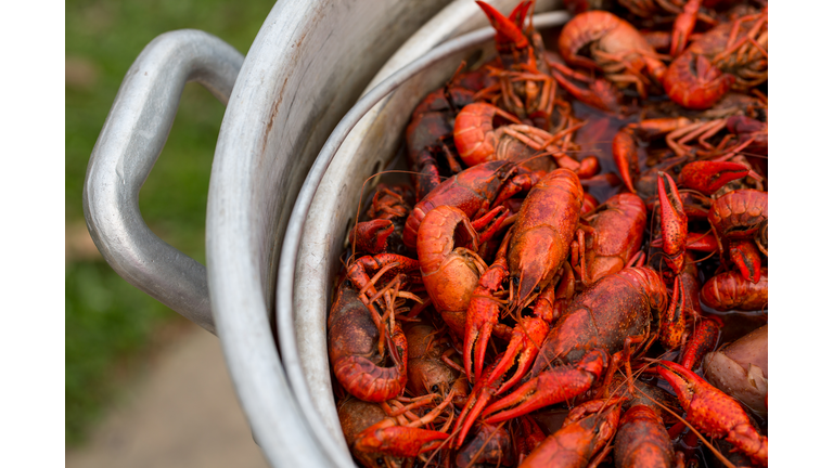 Louisiana Crawfish Boil