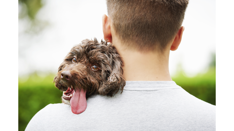 dog resting on mans shoulder