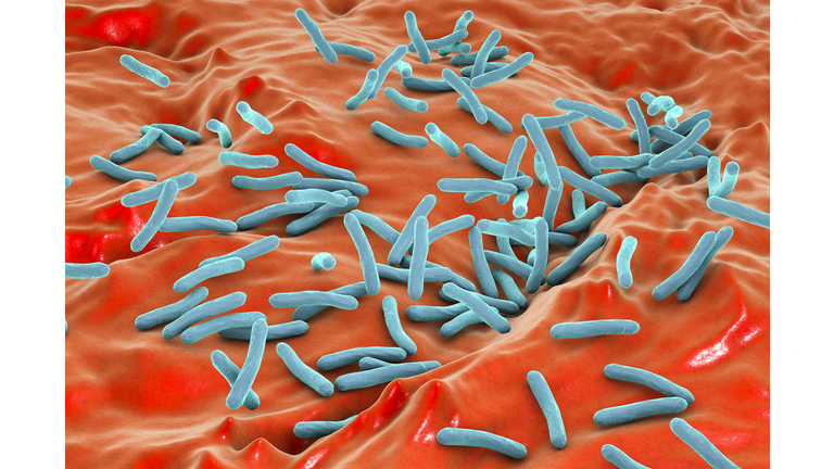 Tuberculosis bacteria, illustration