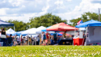 Best Bets for the Weekend, Oct 10- Oct 12