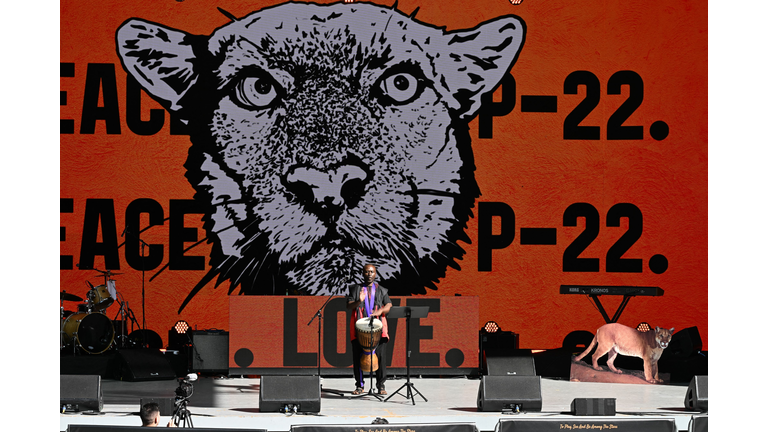 US-ENVIRONMENT-ANIMAL