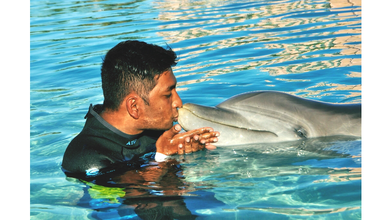 Young Man Kissing Dolphin While Swimming In Pool