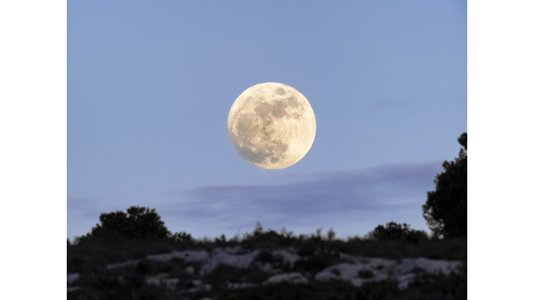 Full Moon Friday Open Lines