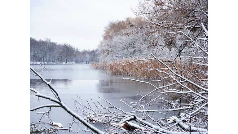 Winter landscape of the frozen pond and rime ice on the trees