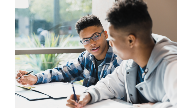 Male high school friends studying together